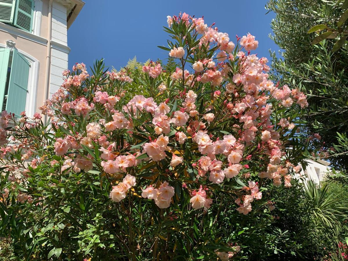 Domaine De L'Aufrene Bed and Breakfast Ιέρ Εξωτερικό φωτογραφία