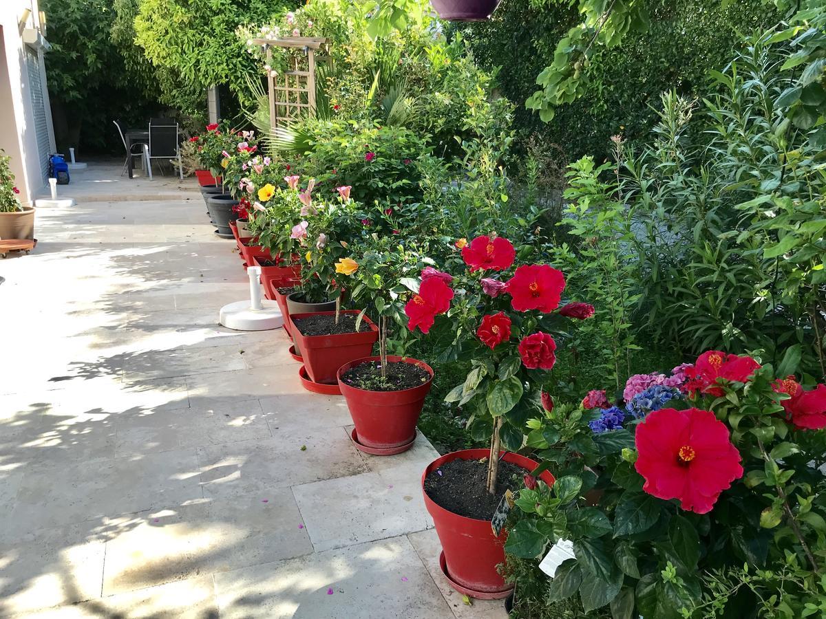 Domaine De L'Aufrene Bed and Breakfast Ιέρ Εξωτερικό φωτογραφία